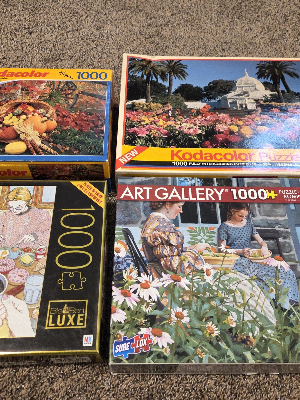 (4) 1000-Piece Jigsaw Puzzle - Colorful Garden Scene